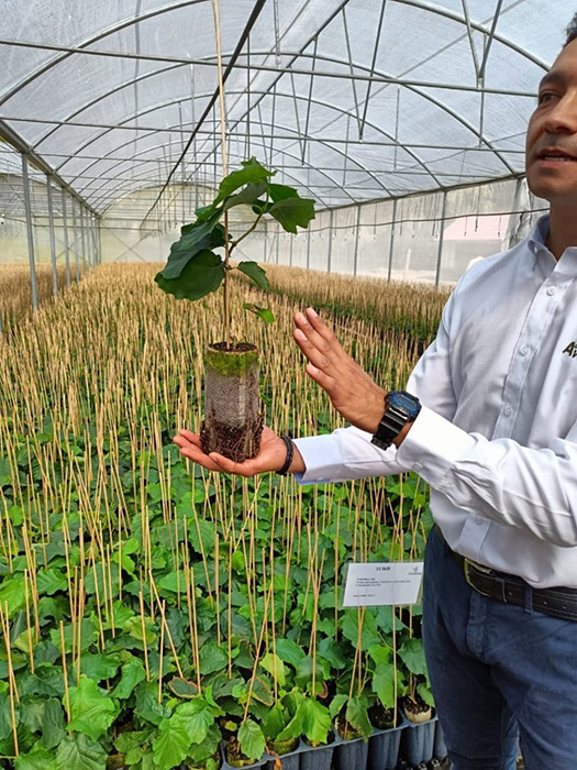 Visita al centro di propagazione del vivaio Agroreyes